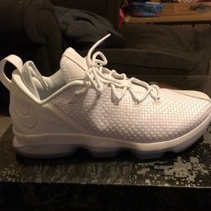LeBron 14 Low